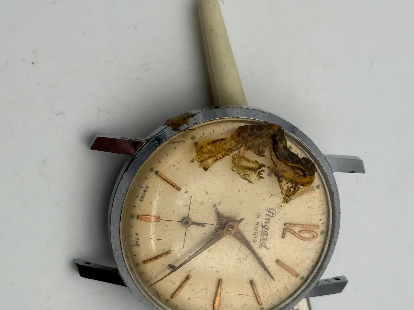 pingard eb 1197 34mm