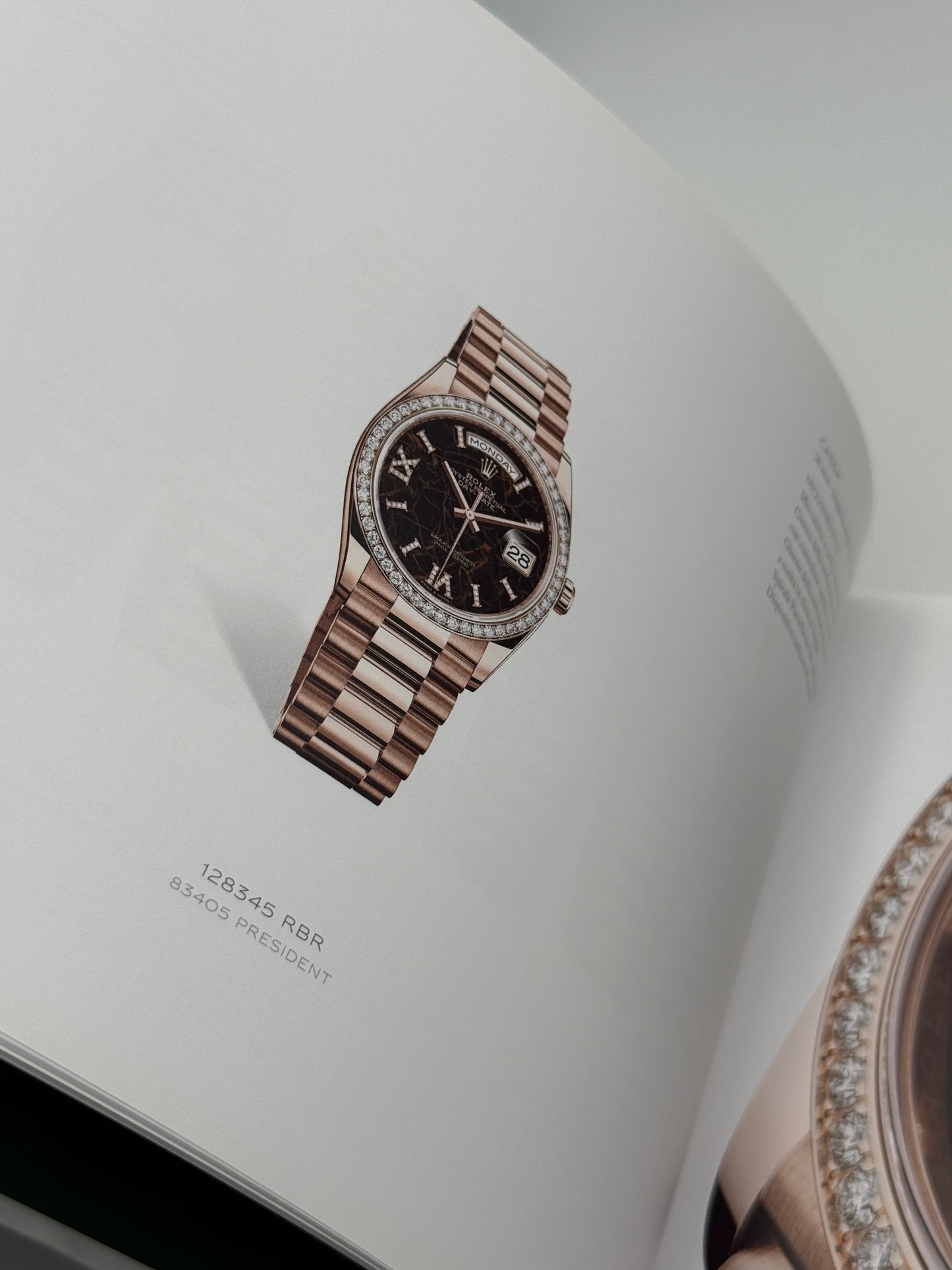 rolex brochure catalogue catalogo 2022-2023