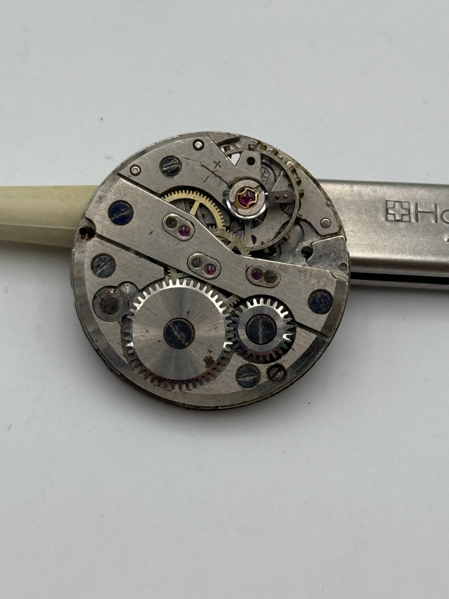 lorsa p62 movement movimento