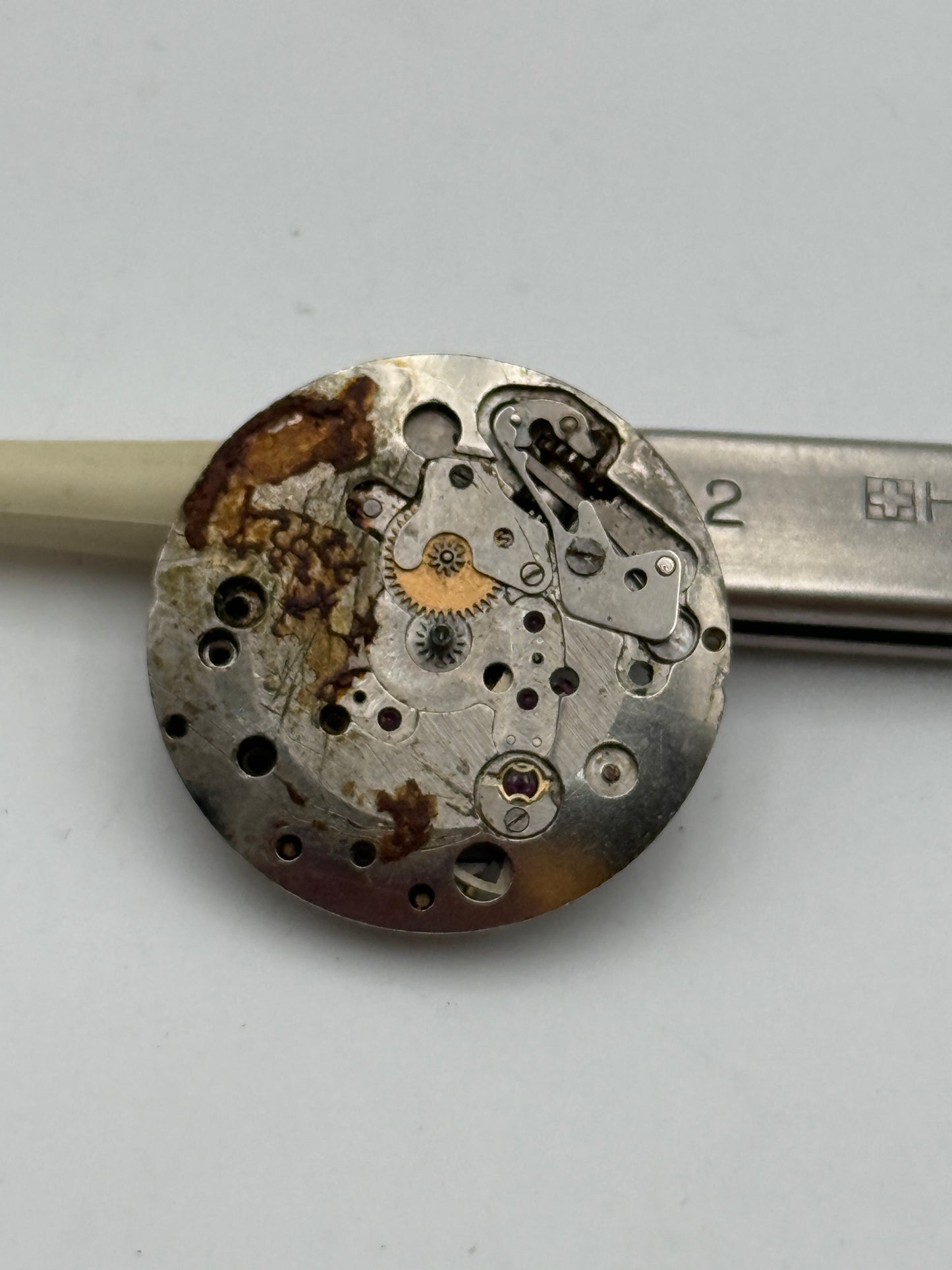lorsa p62 movement movimento