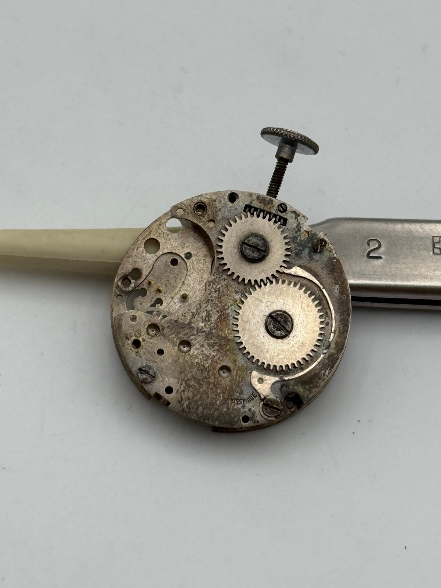 bfg 800 movement movimento