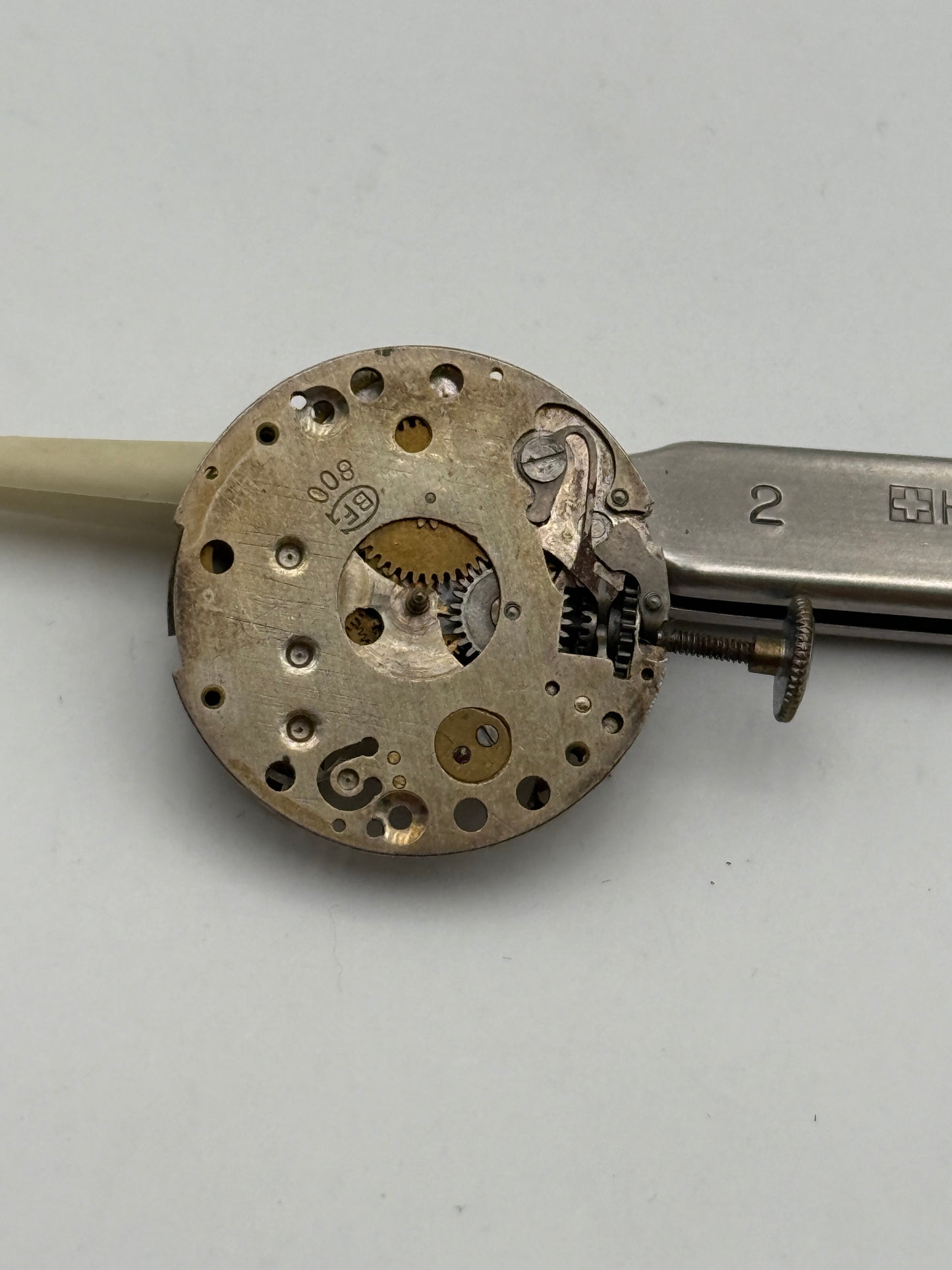 bfg 800 movement movimento