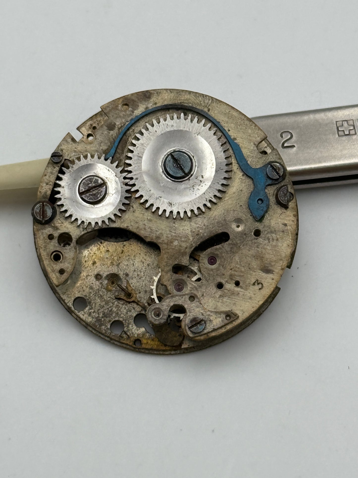 bfg 30.5mm movement movimento