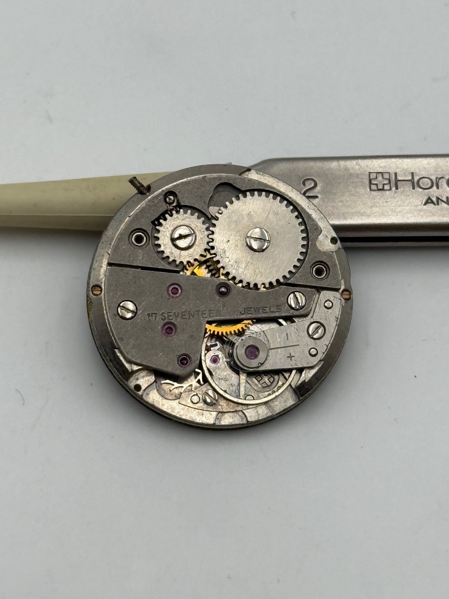 rowil lorsa 238g 26mm movement movimento