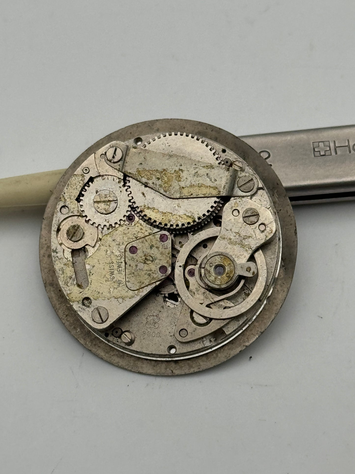 diantus eb 8800 movement movimento