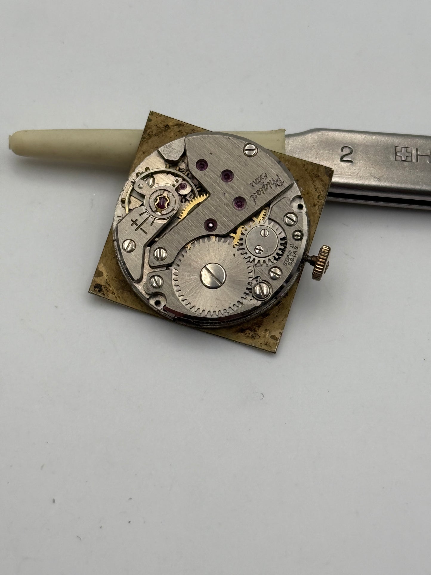 phigied extra fhf 76 movement movimento