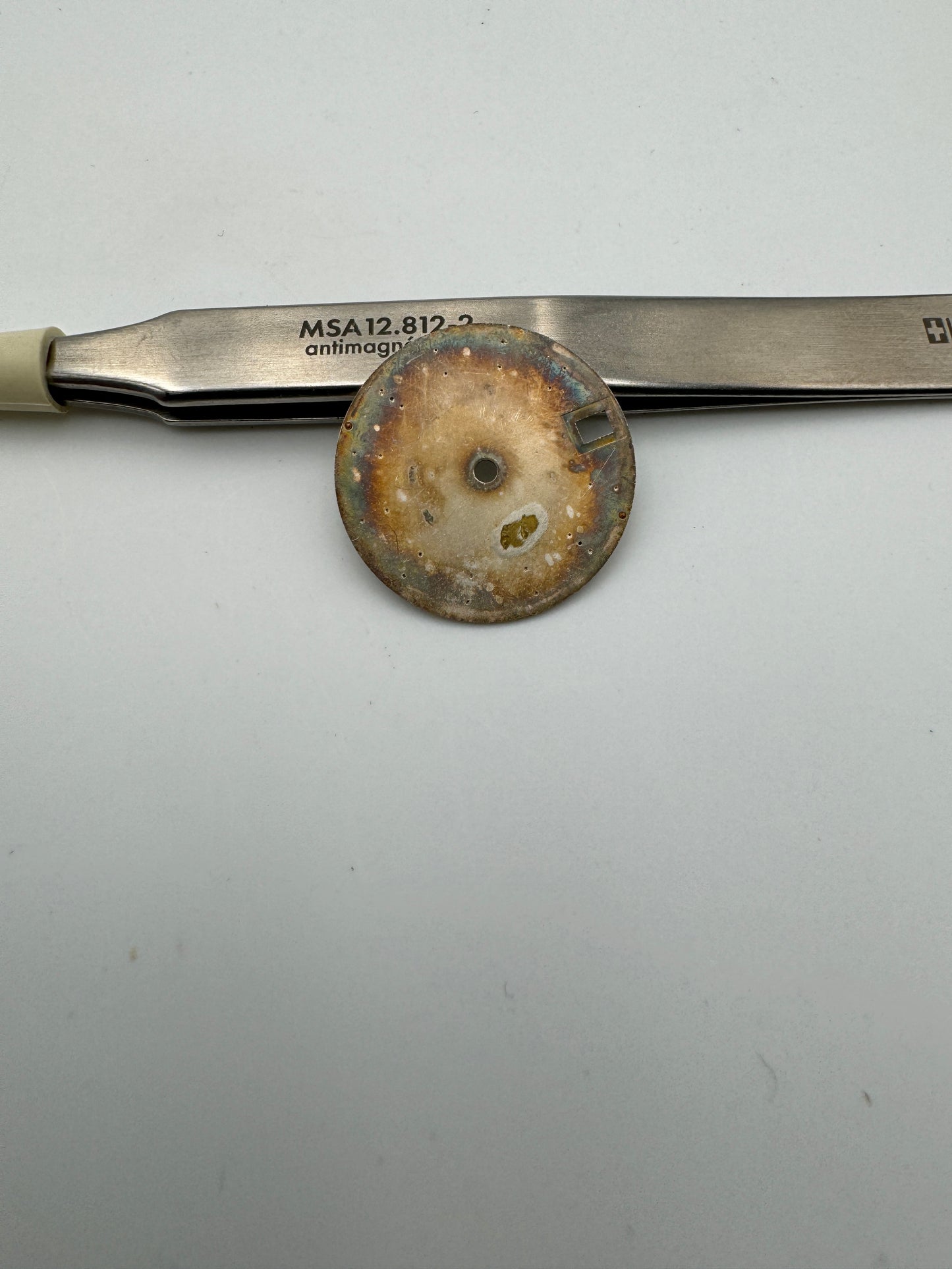 Philip Watch caribbean quartz 23mm